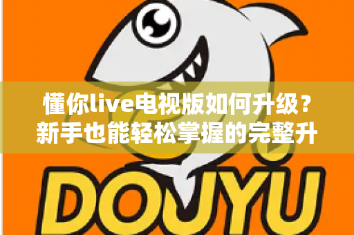 懂你live电视版如何升级？新手也能轻松掌握的完整升级指南