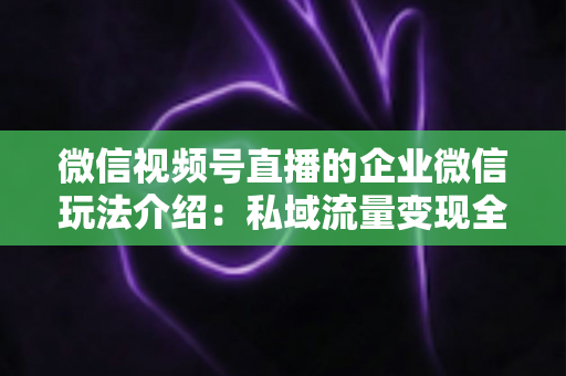 微信视频号直播的企业微信玩法介绍:私域流量变现全攻略,企业必看的直播运营指南 微信视频号直播的企业微信玩法介绍:私域流量变现全攻略,企业必看的直播运营指南