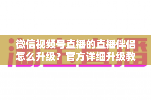 微信视频号直播的直播伴侣怎么升级？官方详细升级教程与常见问题全解析