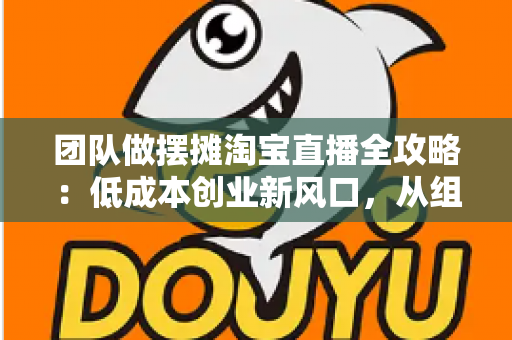 团队做摆摊淘宝直播全攻略：低成本创业新风口，从组队到变现的全流程指南
