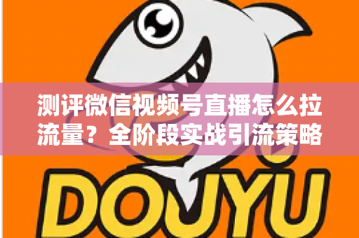 测评微信视频号直播怎么拉流量？全阶段实战引流策略深度解析