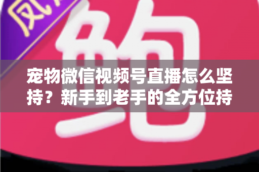 宠物微信视频号直播怎么坚持？新手到老手的全方位持久运营指南