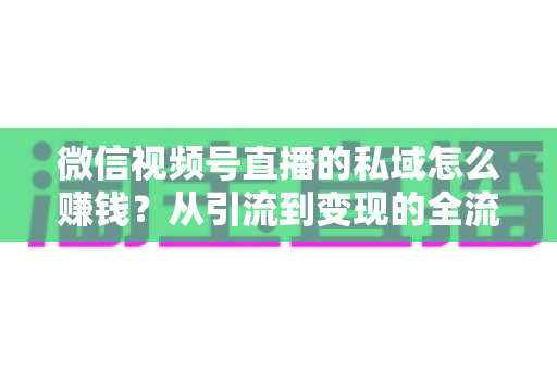 微信视频号直播的私域怎么赚钱?从引流到变现的全流程实战指南 微信视频号直播的私域怎么赚钱?从引流到变现的全流程实战指南