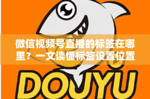 微信视频号直播的标签在哪里?一文读懂标签设置位置、查看方法与流量优化技巧 微信视频号直播的标签在哪里?一文读懂标签设置位置、查看方法与流量优化技巧