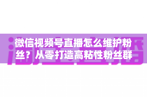 微信视频号直播怎么维护粉丝?从零打造高粘性粉丝群体的实战全攻略 微信视频号直播怎么维护粉丝?从零打造高粘性粉丝群体的实战全攻略
