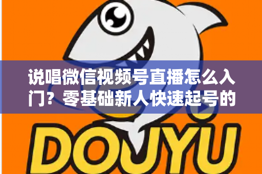 说唱微信视频号直播怎么入门?零基础新人快速起号的实战指南 说唱微信视频号直播怎么入门?零基础新人快速起号的实战指南