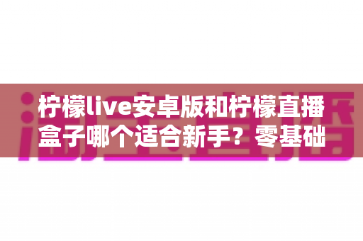 柠檬live安卓版和柠檬直播盒子哪个适合新手？零基础用户的直播软件选择全攻略