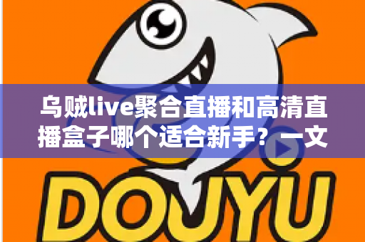 乌贼live聚合直播和高清直播盒子哪个适合新手？一文读懂两者差异与选择思路
